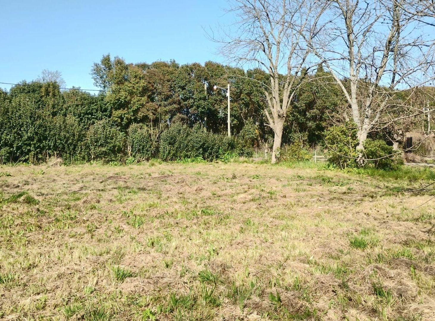 Foto de Lote a la venta en Villa Elisa, imagen 4