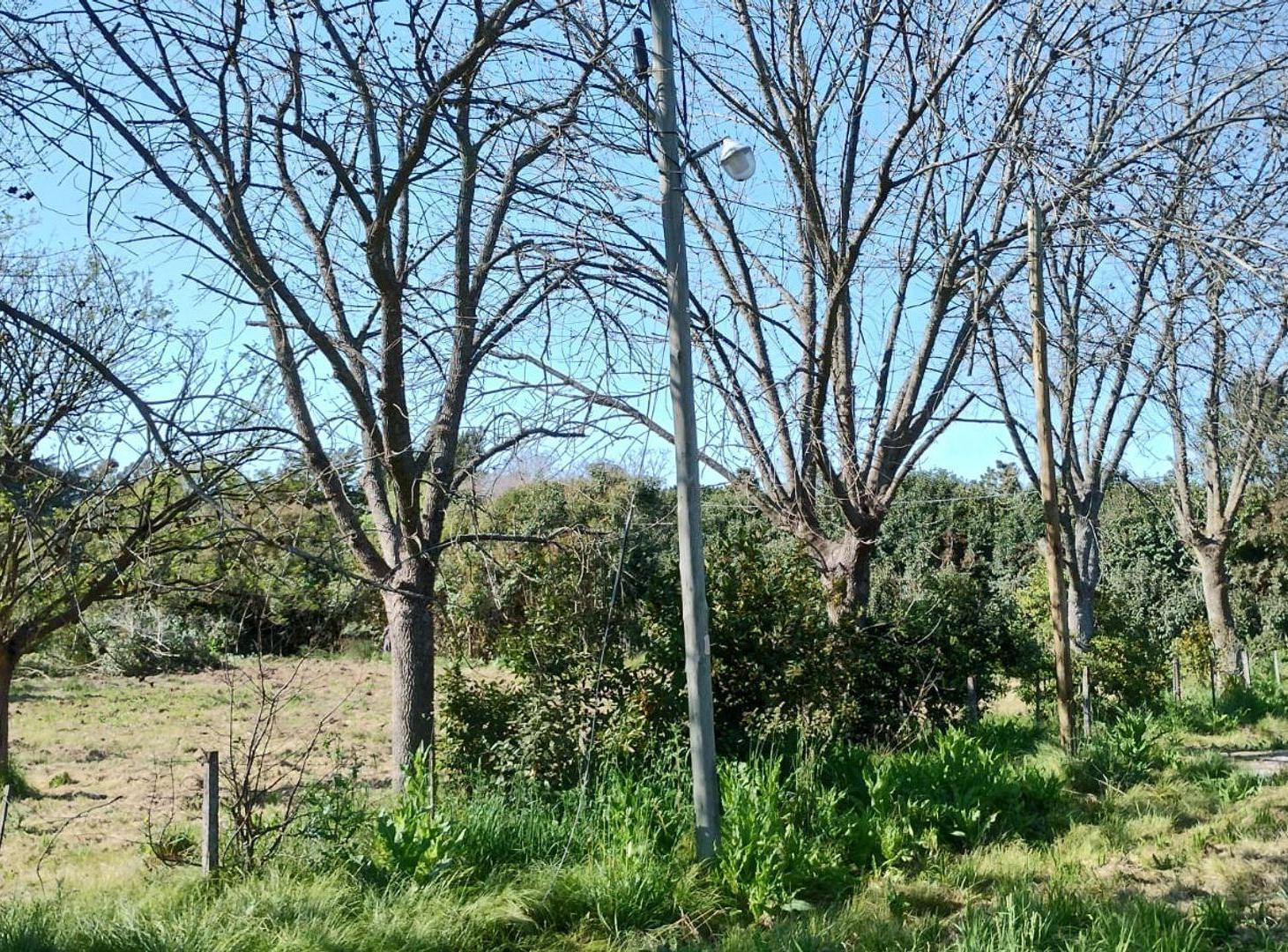 Foto de Lote a la venta en Villa Elisa, imagen 3