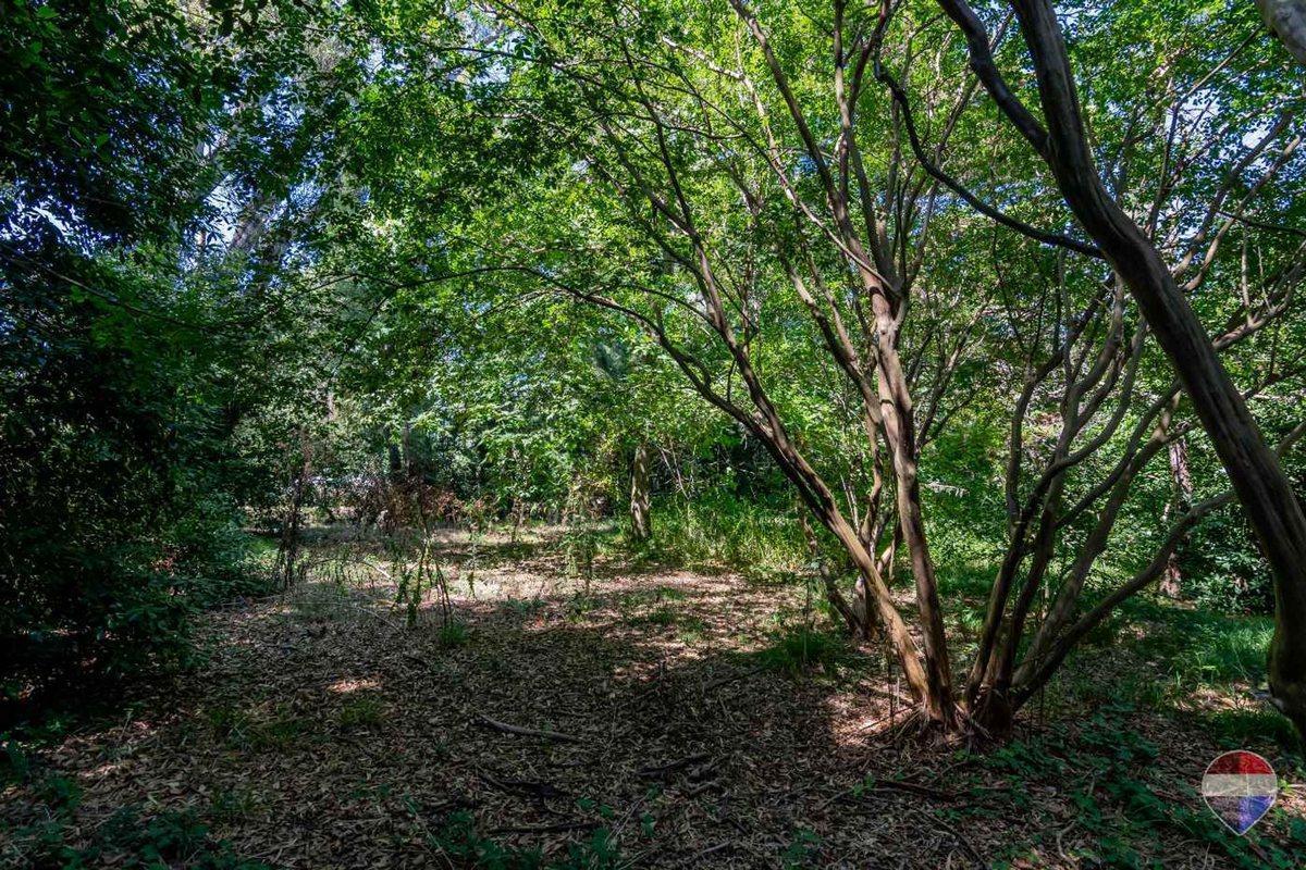 Foto de LOTE EN VENTA EN VILLA ELISA, imagen 2
