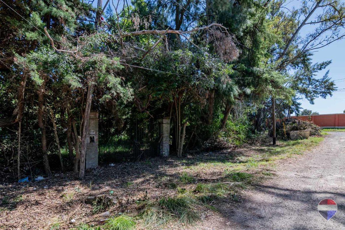Foto de LOTE EN VENTA EN VILLA ELISA, imagen 4