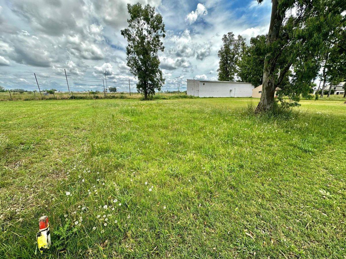 Foto de LOTE EN VENTA La Plata barrio La Elvira, imagen 5
