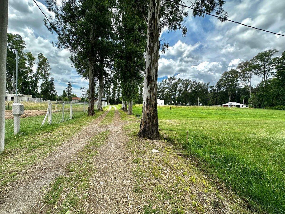 Foto de LOTE EN VENTA La Plata barrio La Elvira, imagen 3