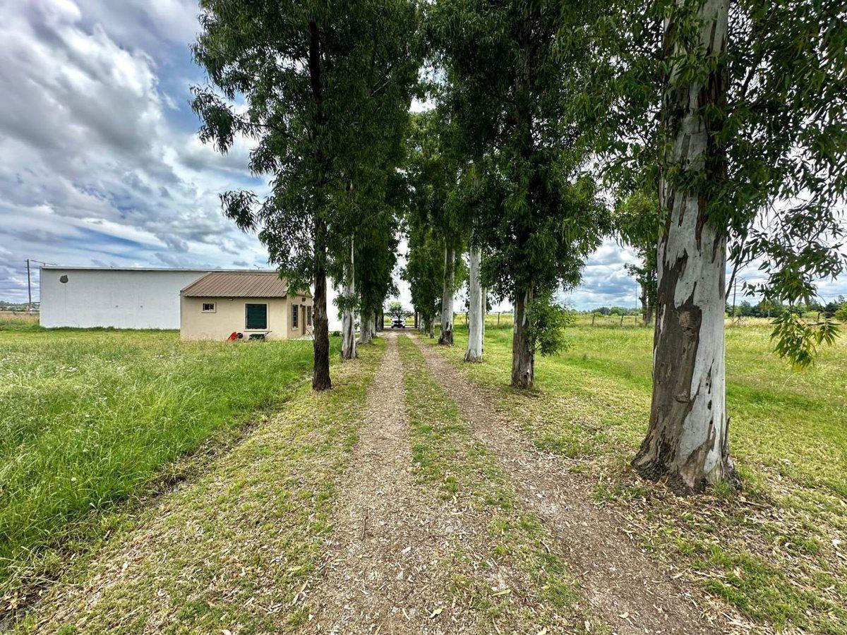 Foto de LOTE EN VENTA La Plata barrio La Elvira, imagen 2