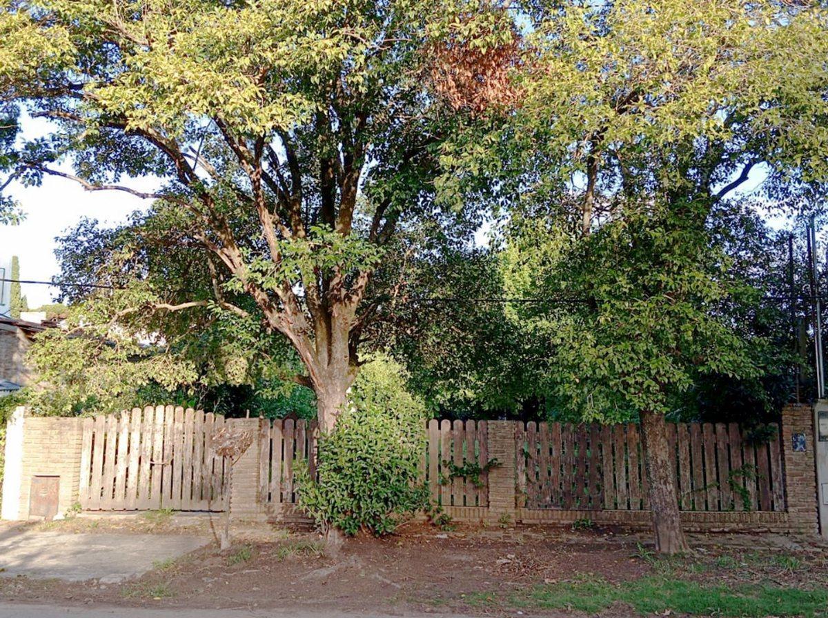 Foto de Lote en venta en City Bell casco, imagen 2