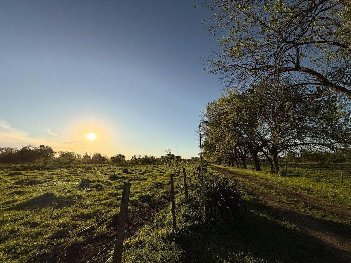 Foto de Campo en Venta en Los Hornos casa y pileta, imagen 5