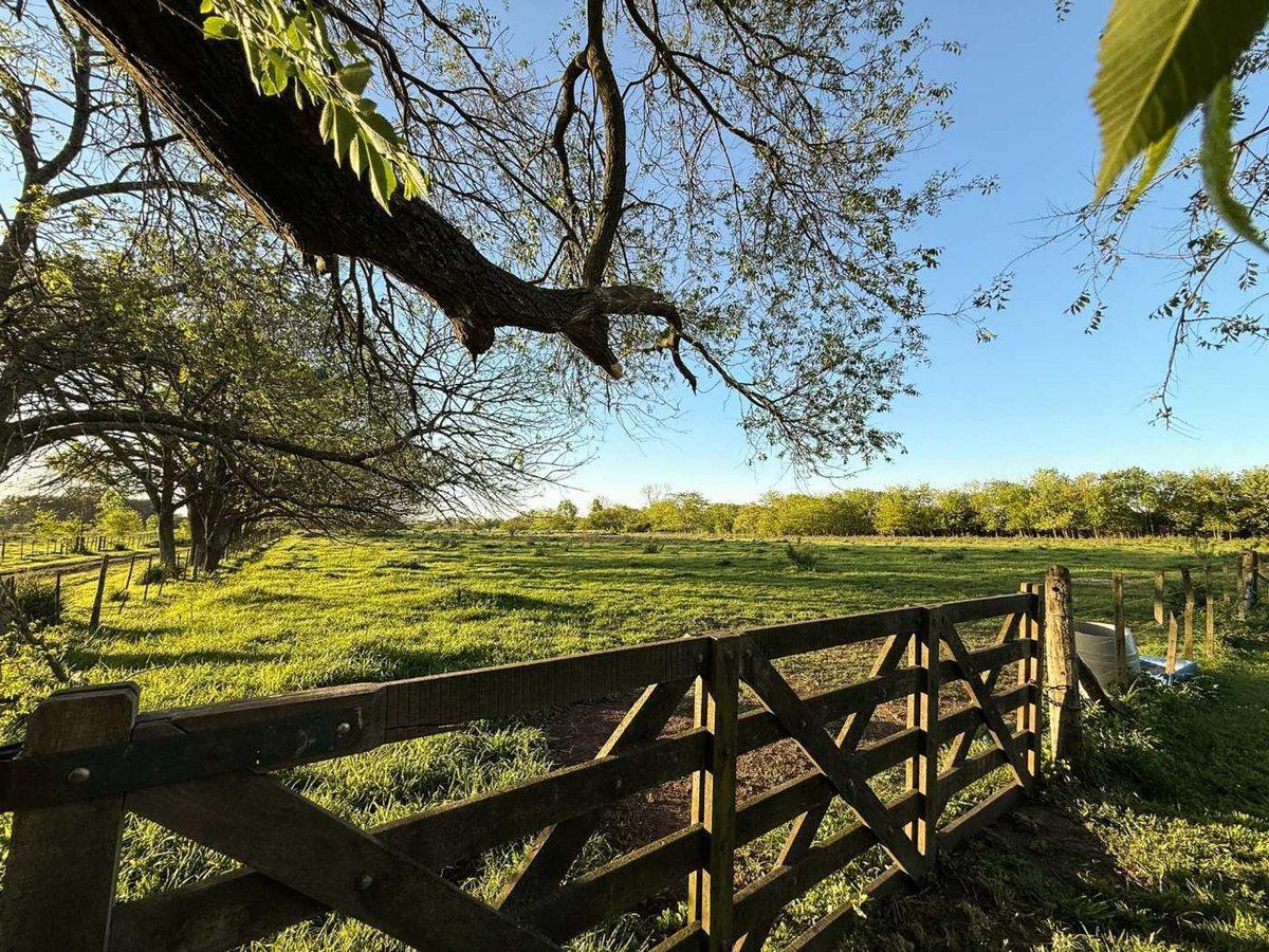 Foto de Campo en Venta en Los Hornos casa y pileta, imagen 4