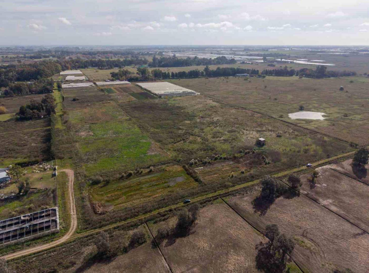 Foto de HECTAREAS EN VENTA LA PLATA, imagen 4