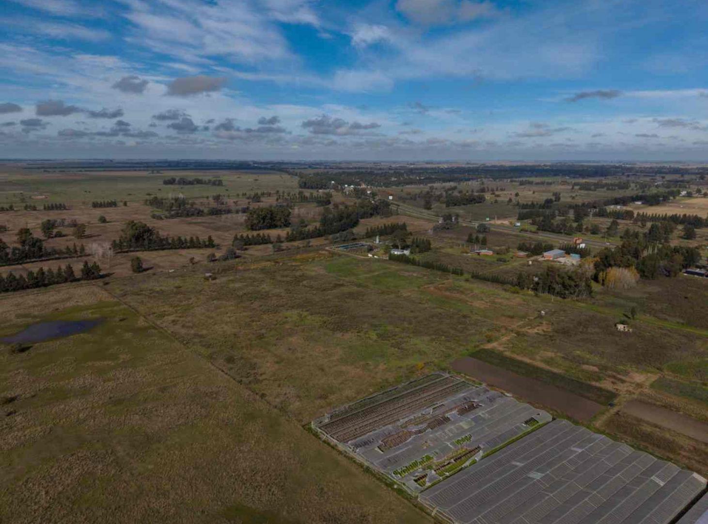 Foto de HECTAREAS EN VENTA LA PLATA, imagen 3