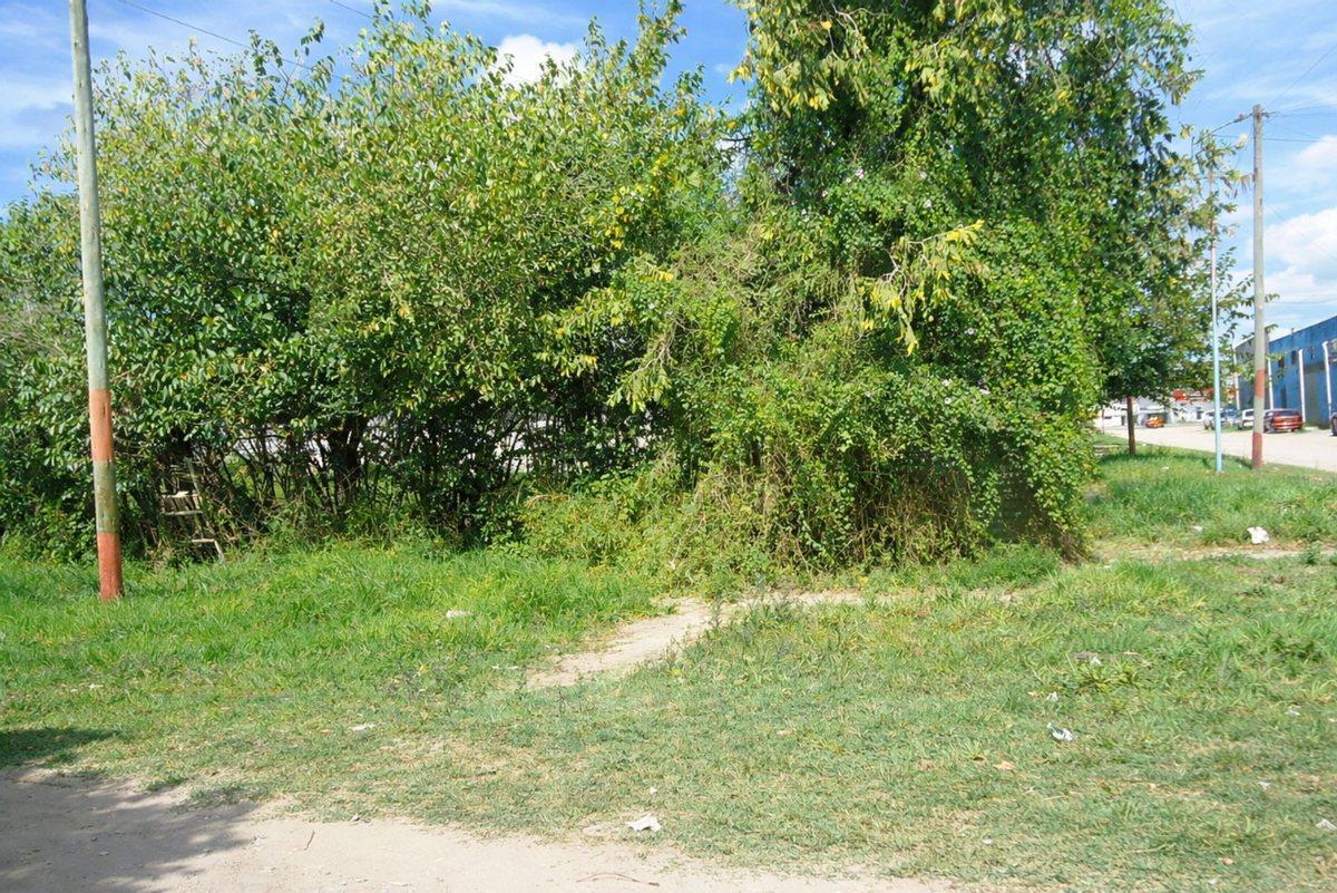 Foto de LOTE EN VENTA EN BERISSO, A METROS DE RUTA 11, imagen 5