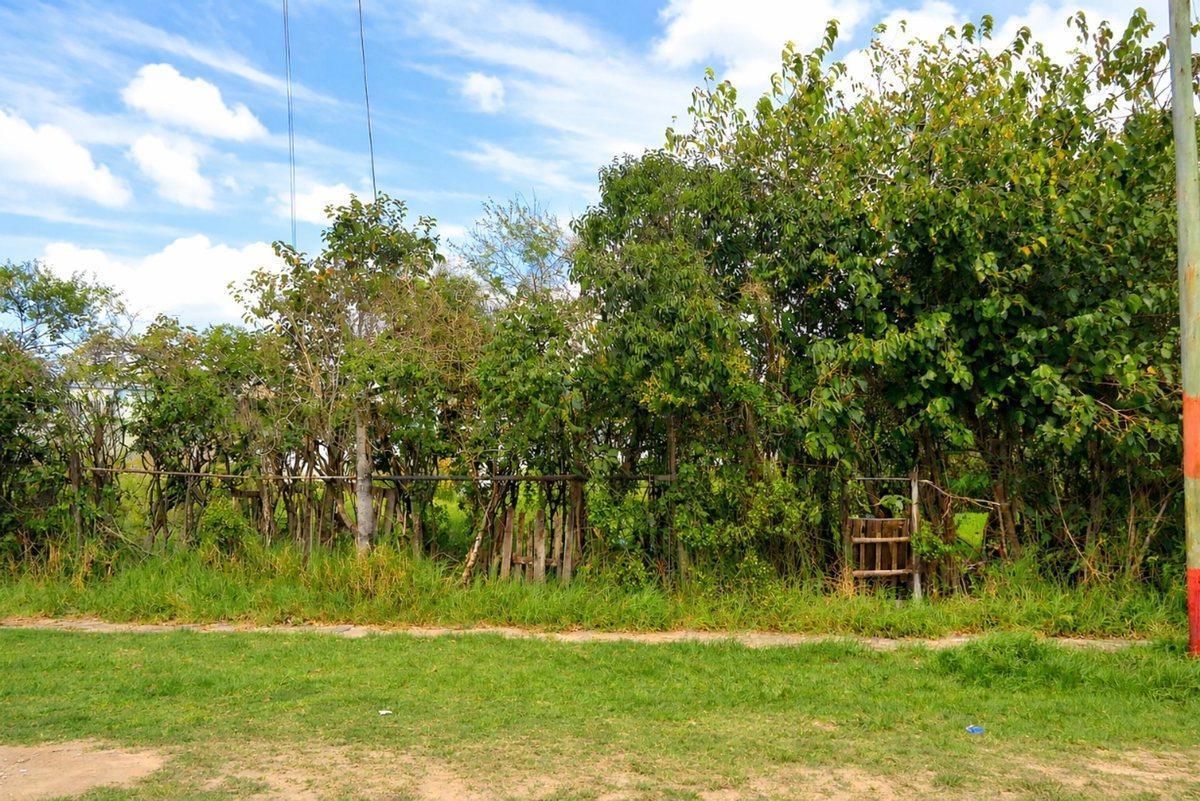 Foto de LOTE EN VENTA EN BERISSO, A METROS DE RUTA 11, imagen 1