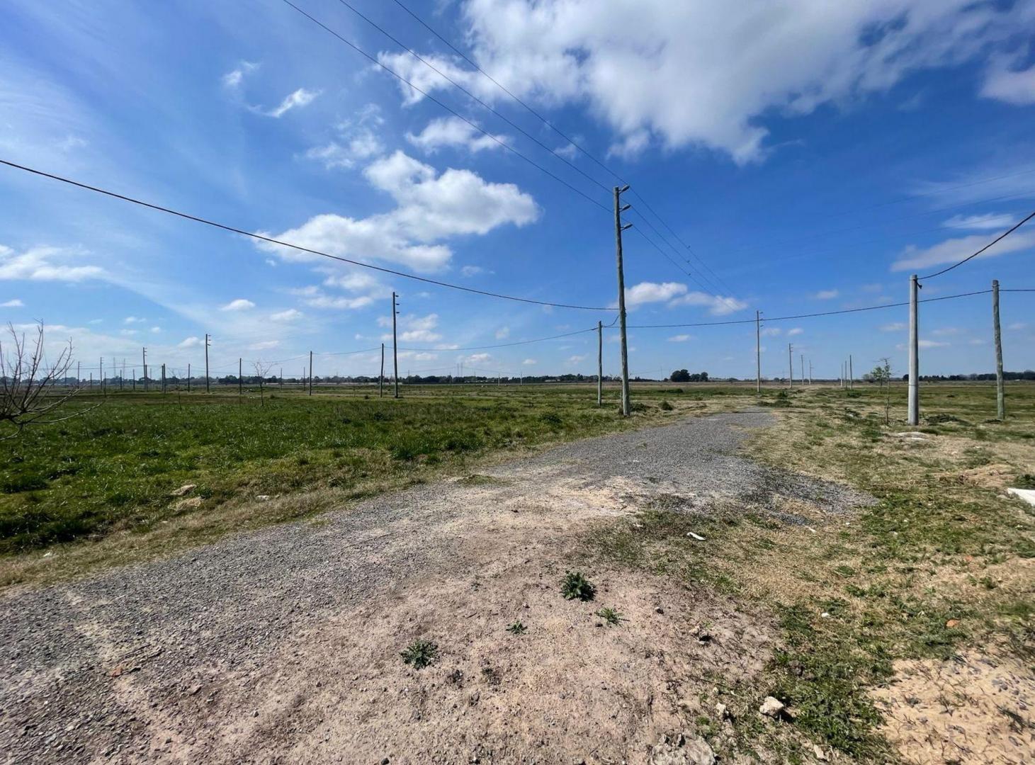 Foto de Lote en VENTA en Abasto, Las Alamedas Barrio, imagen 5