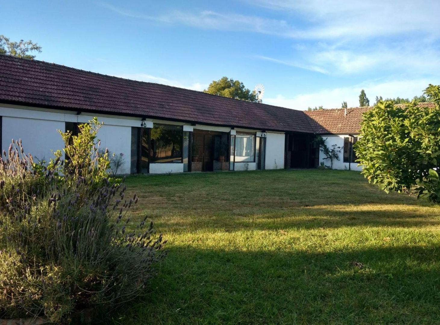 Foto de VENTA DE TERRENO 8HS EN RUTA 2 KM65, imagen 3