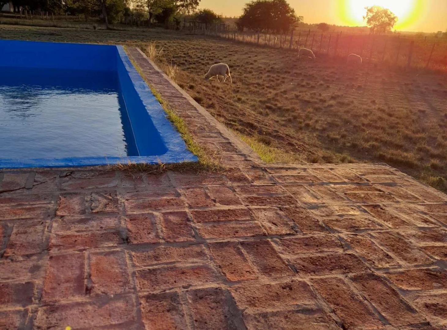 Foto de VENTA DE TERRENO 8HS EN RUTA 2 KM65, imagen 4