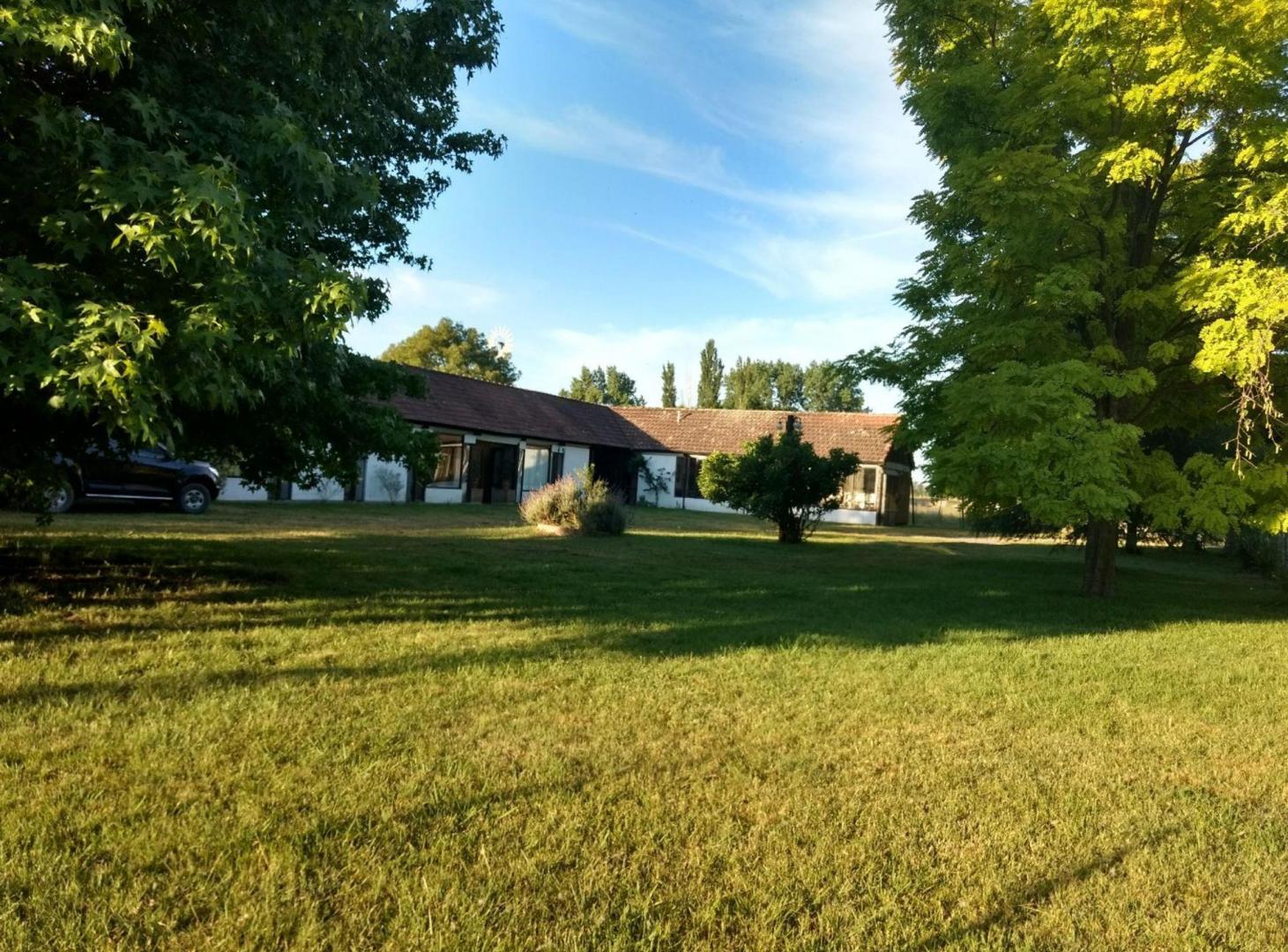 Foto de VENTA DE TERRENO 8HS EN RUTA 2 KM65, imagen 1