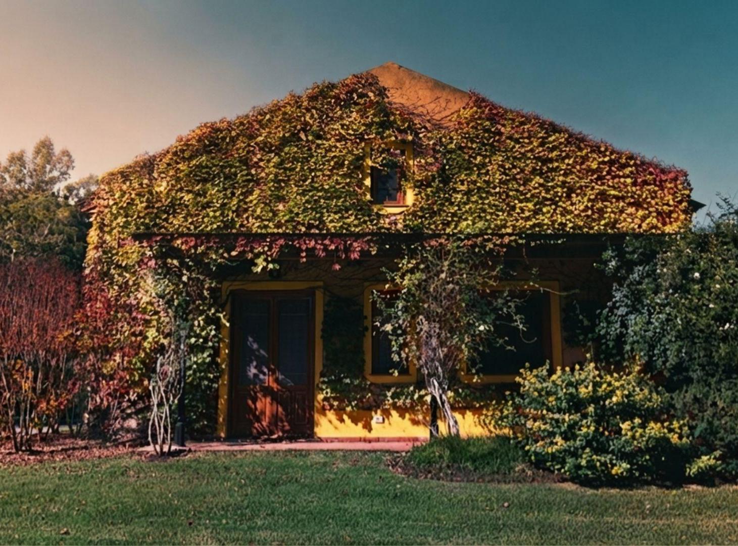 Foto de CASA EN VENTA EN CAMPOS DE ROCA, imagen 3