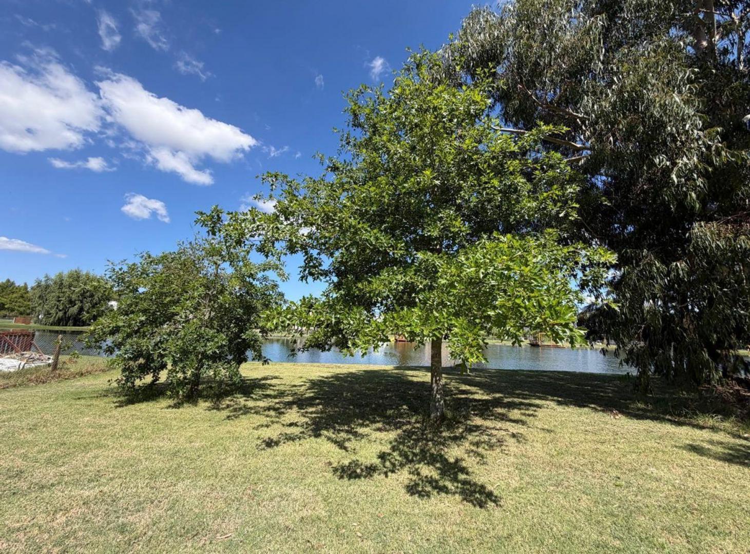 Foto de LOTE EN VENTA EN MIRALAGOS, imagen 5