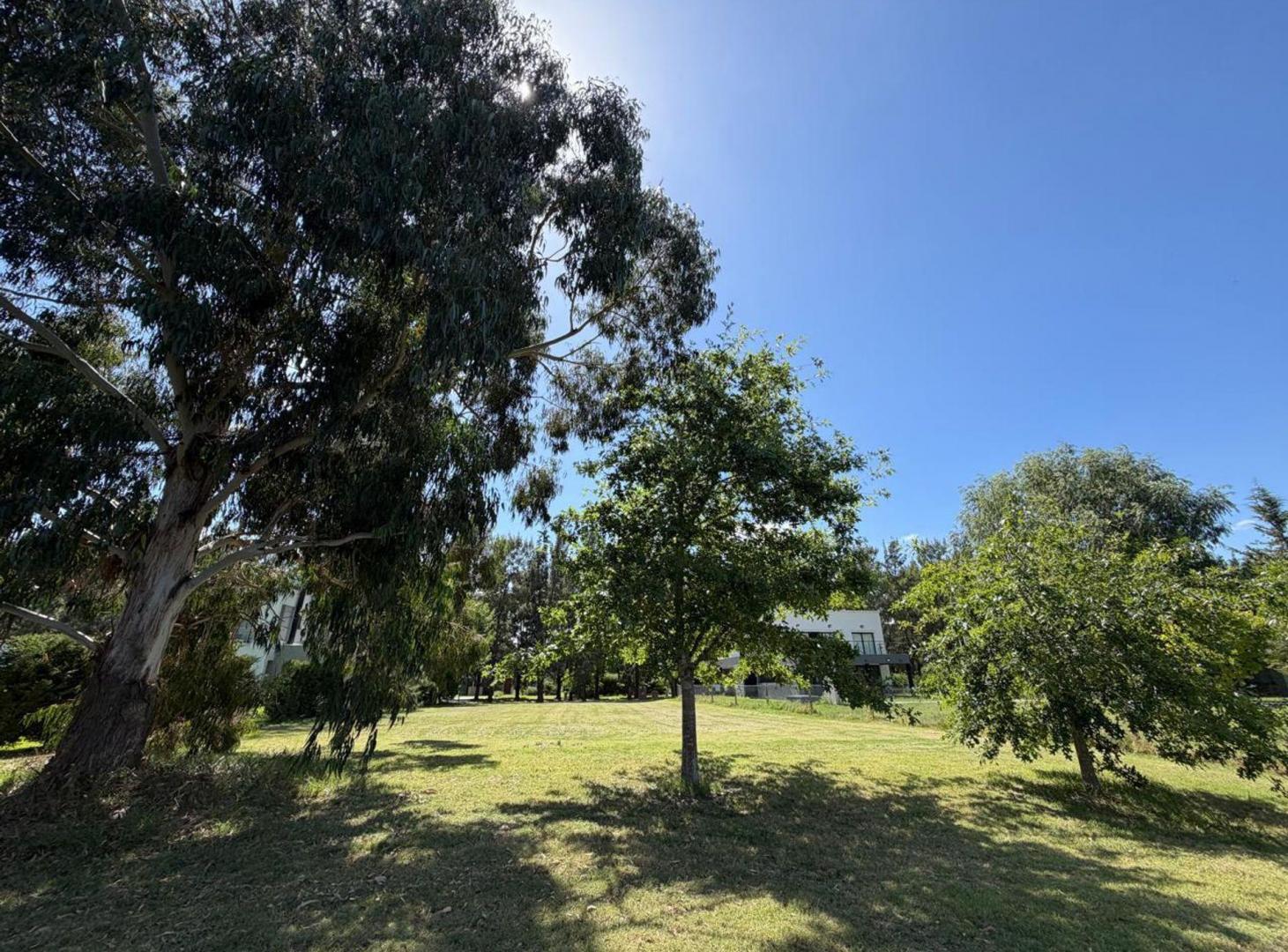 Foto de LOTE EN VENTA EN MIRALAGOS, imagen 4