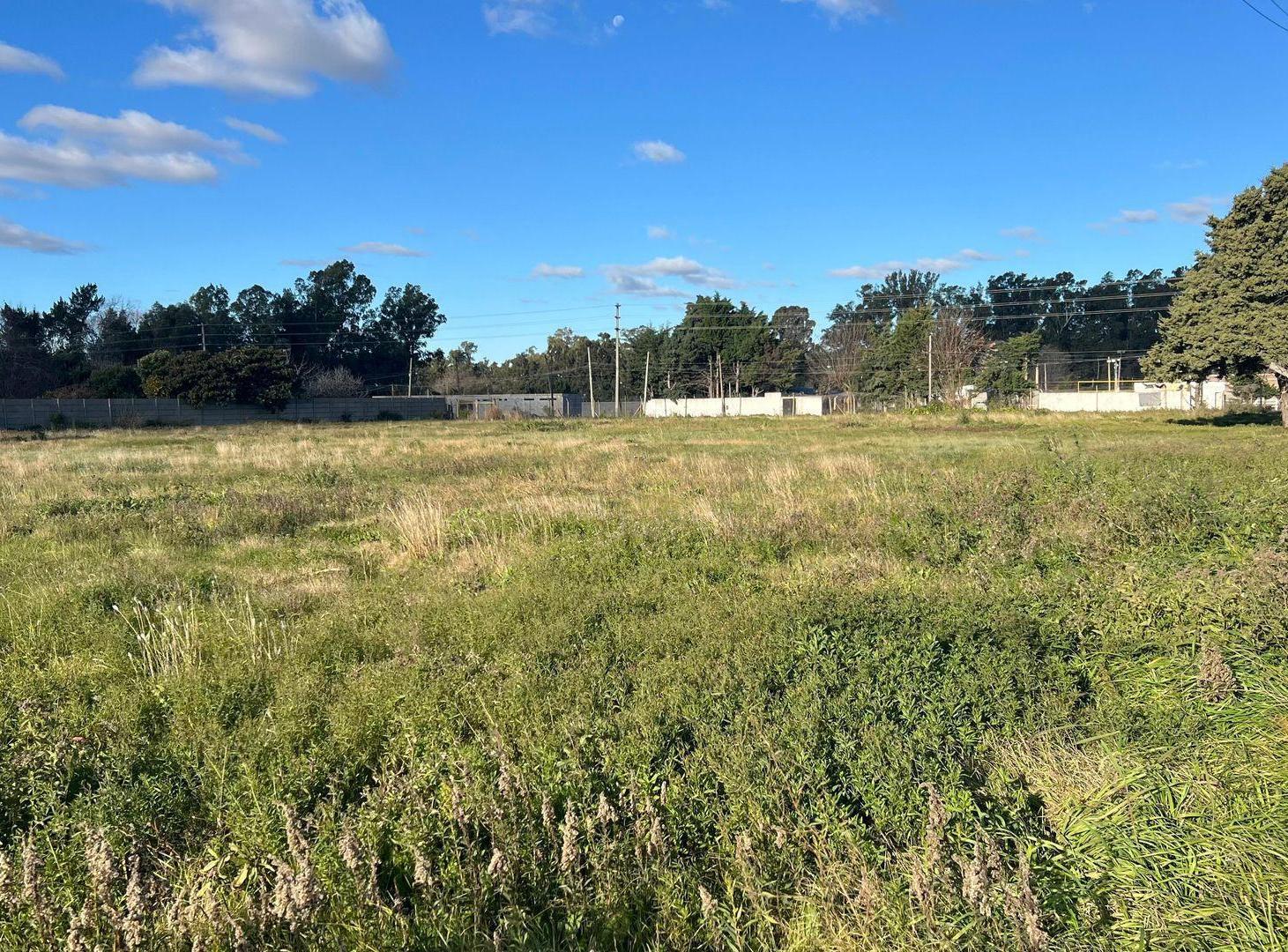 Foto de Lote en Venta en San Carlos, imagen 5