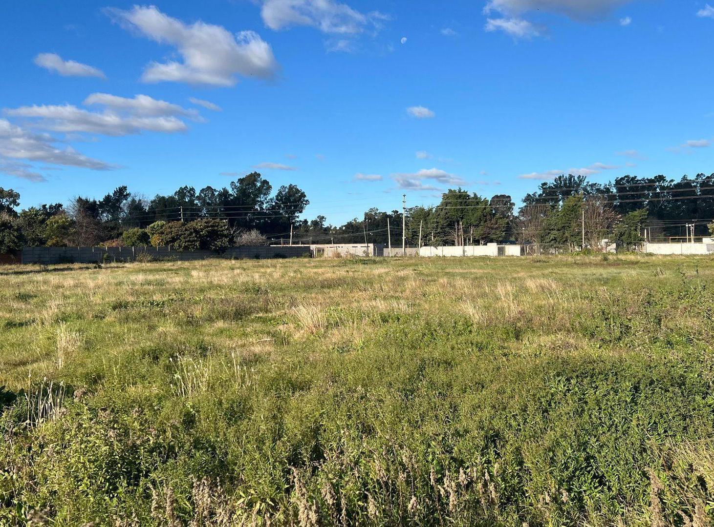 Foto de Lote en Venta en San Carlos, imagen 3