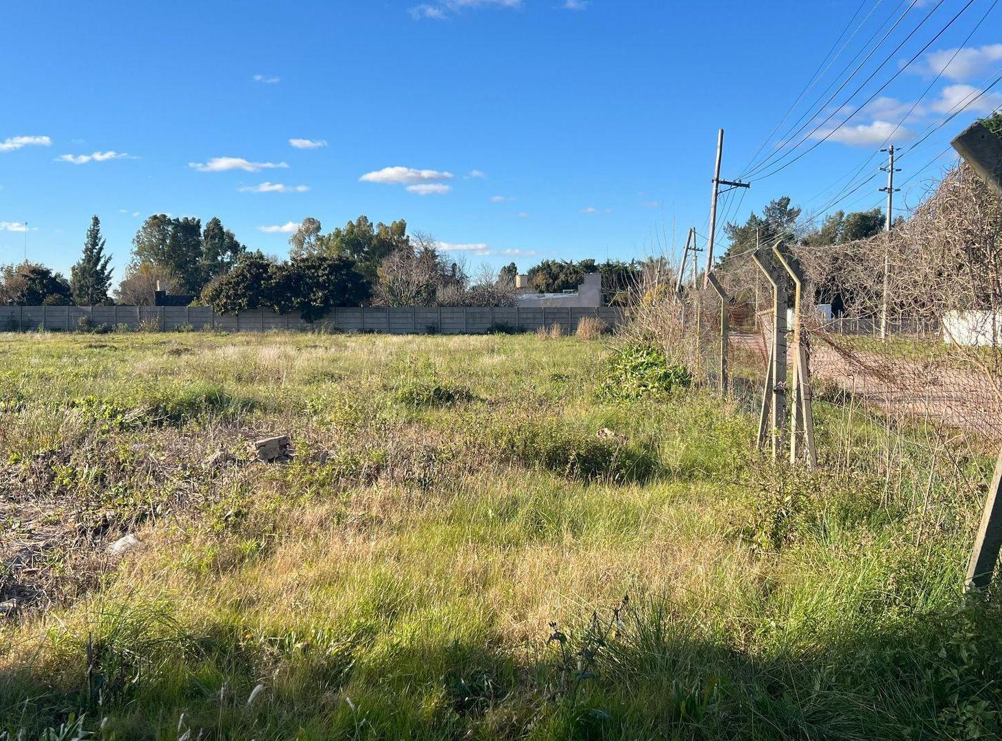 Foto de Lote en Venta en San Carlos, imagen 4