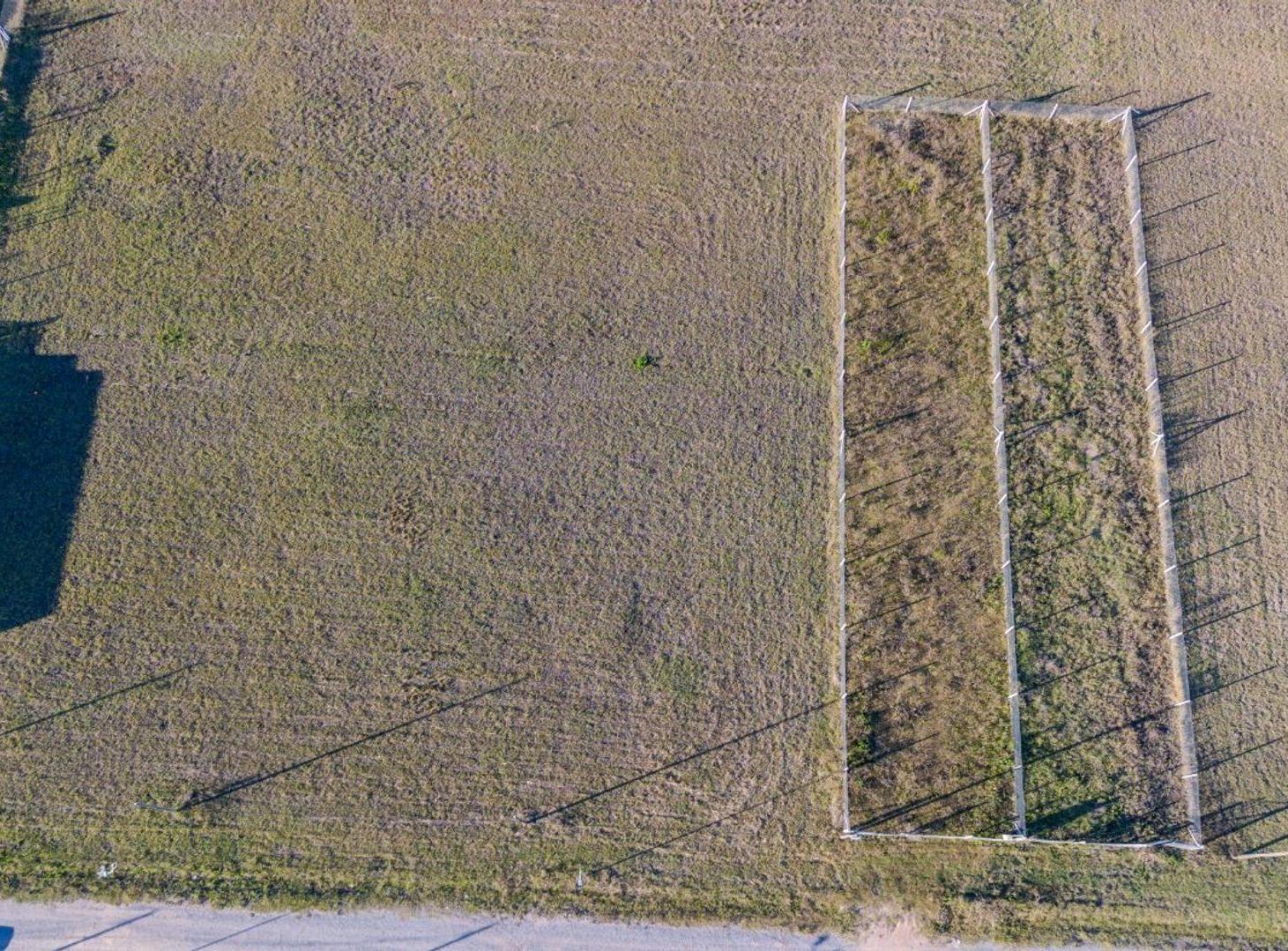 Foto de LOTE EN VENTA EN GORINA, imagen 4
