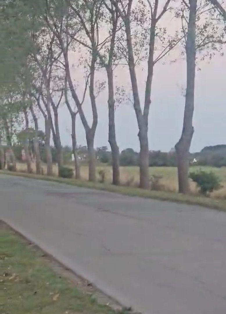 Foto de TERRENO EN VENTA DOLORES, imagen 4
