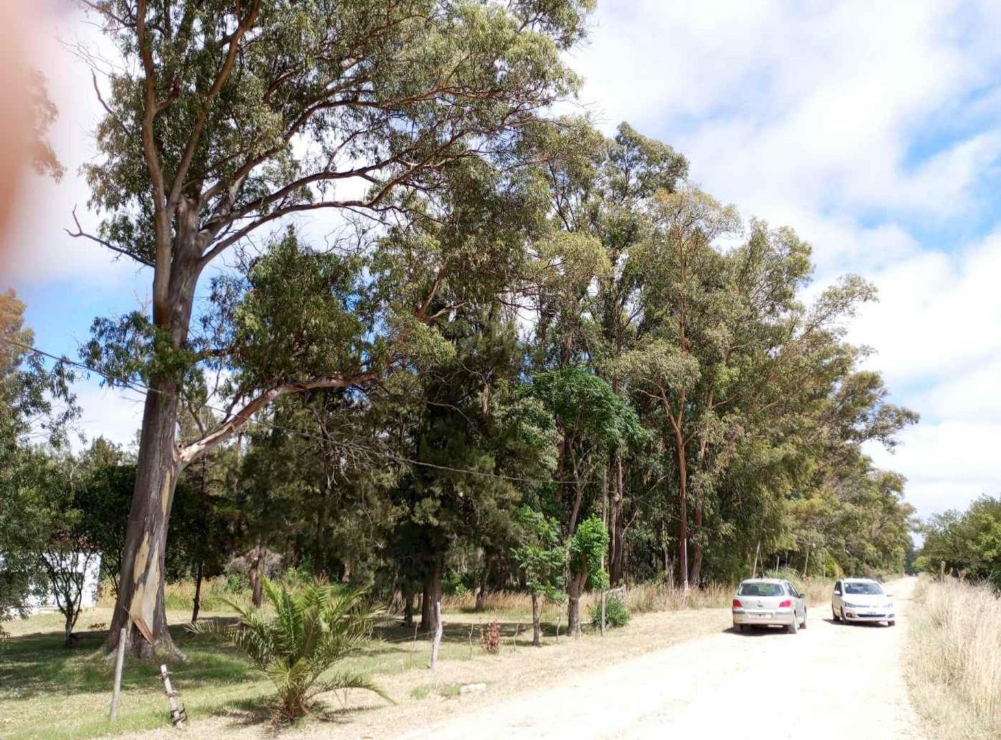 Foto de VENTA DE TERRENO EN BARRIO LOS BOSQUECITOS, imagen 1