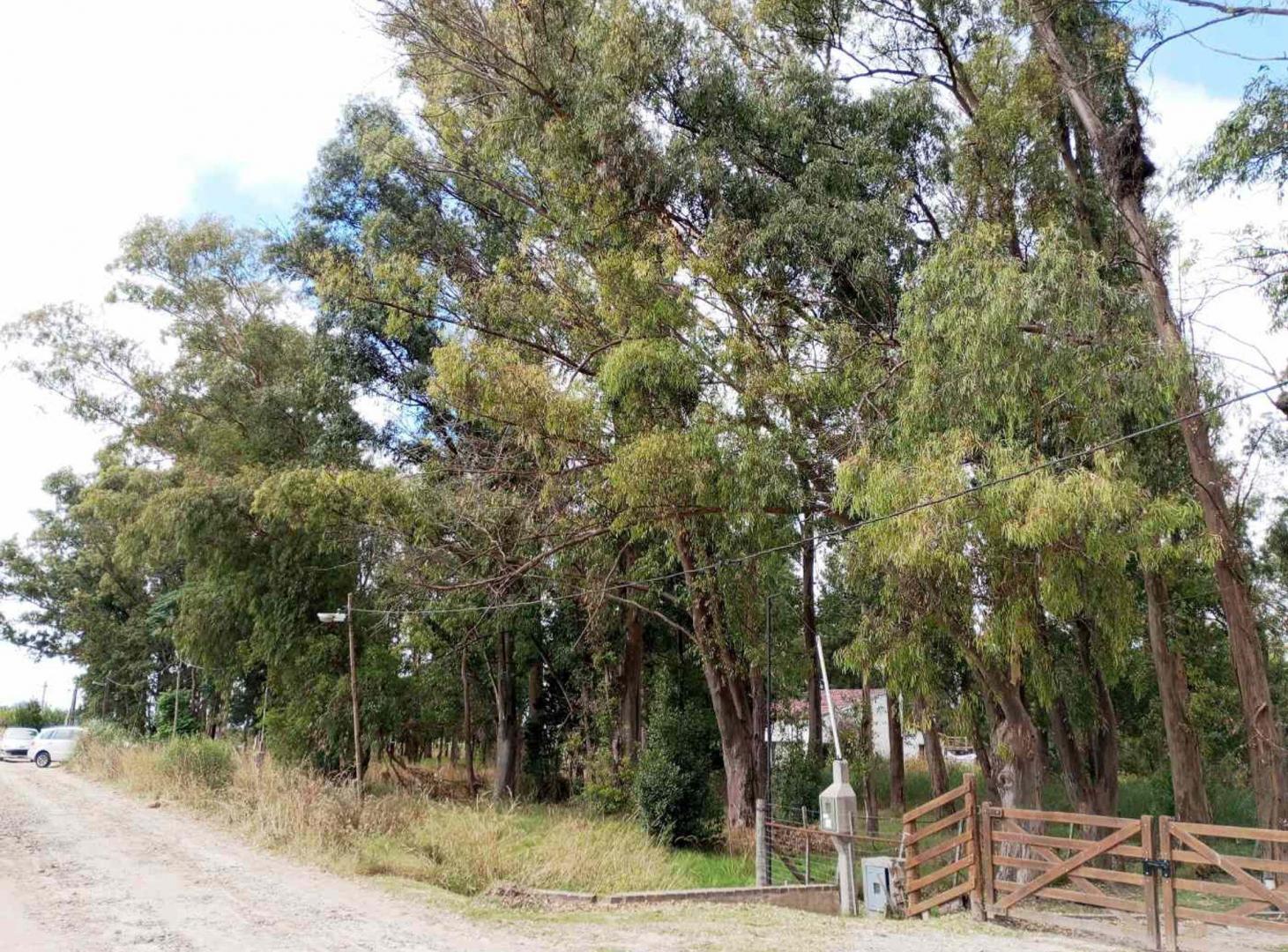 Foto de VENTA DE TERRENO EN BARRIO LOS BOSQUECITOS, imagen 3