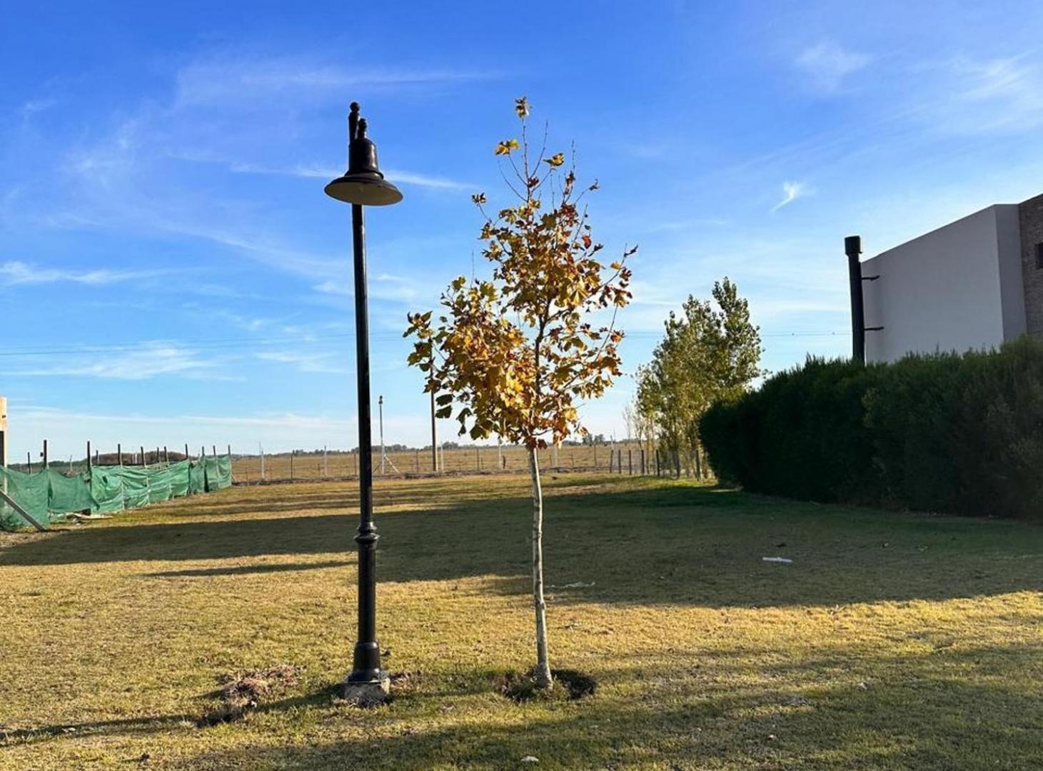 Foto de LOTE EN VENTA EN HARAS DEL SUR III, CORONEL BRANDS, imagen 3