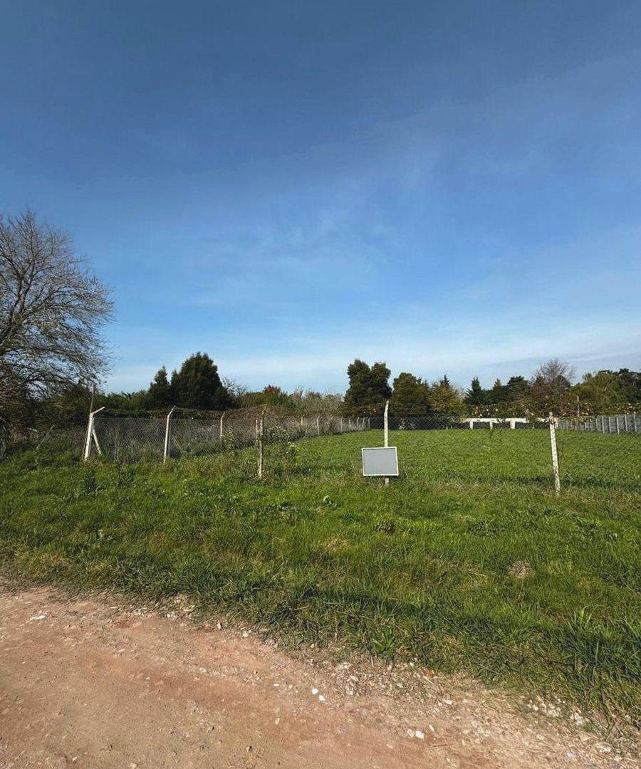 Foto de LOTE EN VENTA EN EL PATO, imagen 4