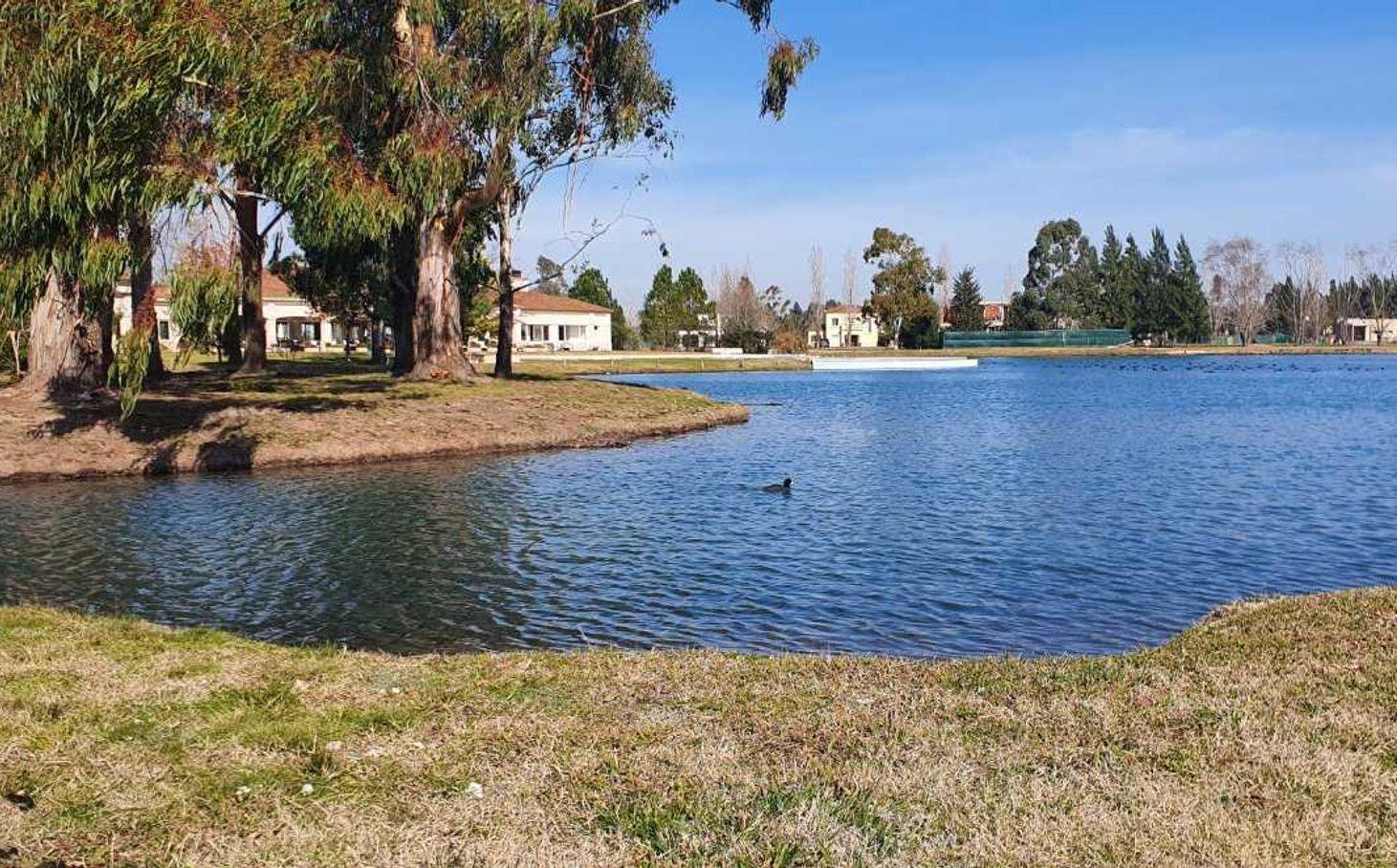 Foto de VENTA DE LOTE EN MIRALAGOS CON COSTA DE LAGO, imagen 4