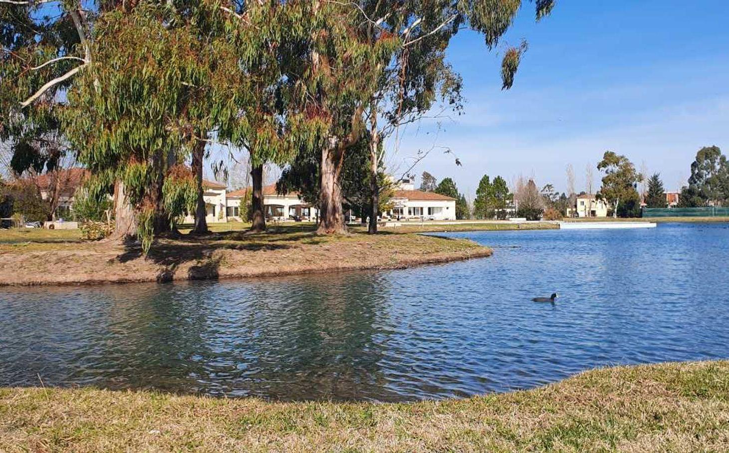 Foto de VENTA DE LOTE EN MIRALAGOS CON COSTA DE LAGO, imagen 3