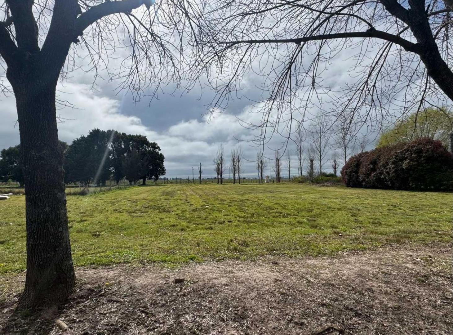 Foto de Oportunidad venta lote GRANDE en Haras del Sur I, imagen 5