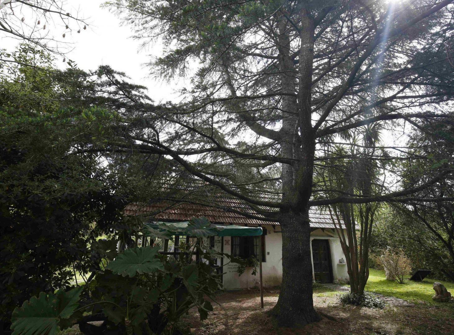 Foto de Casa en Venta en City Bell, imagen 2