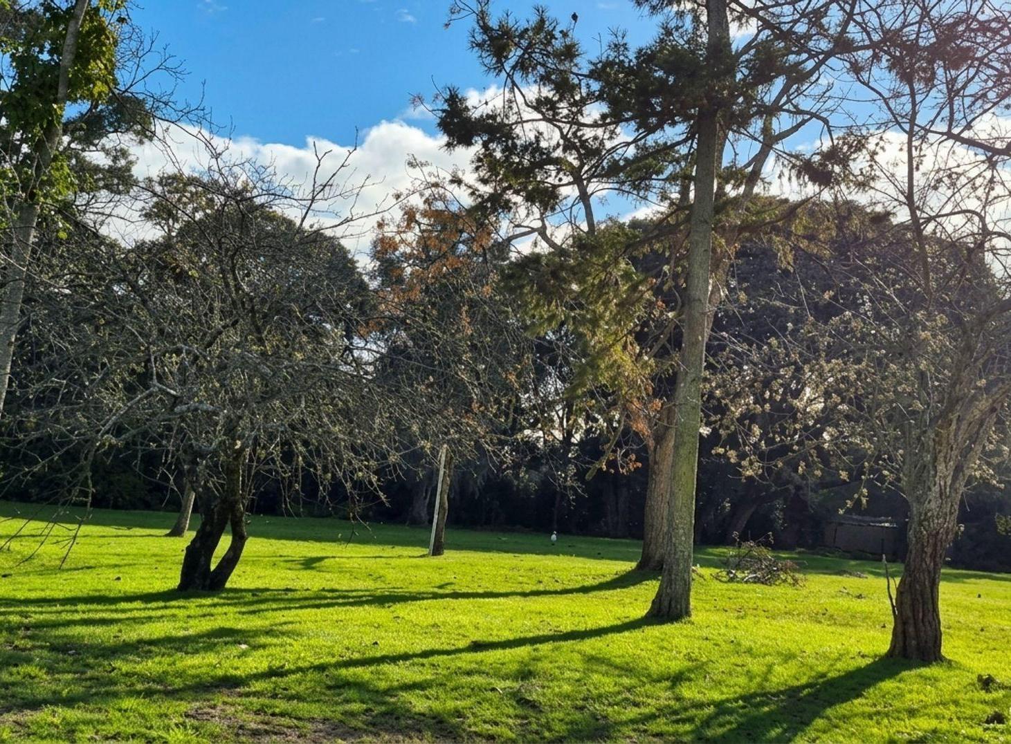 Foto de Lote en venta en Villa Elisa, imagen 2