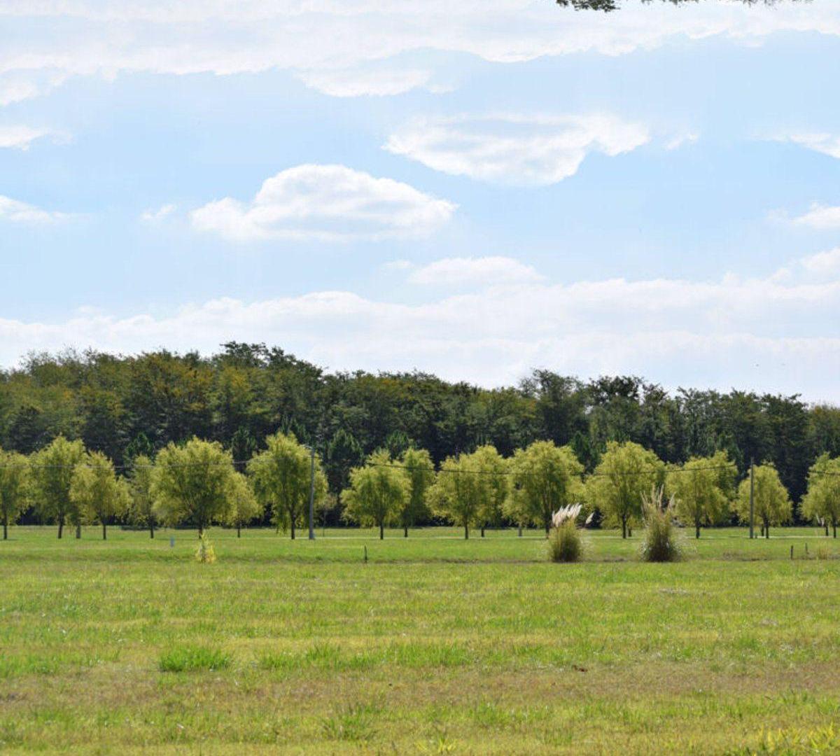 Foto de LOTE EN VENTA EN CAMPOS DE ROCA II, imagen 2