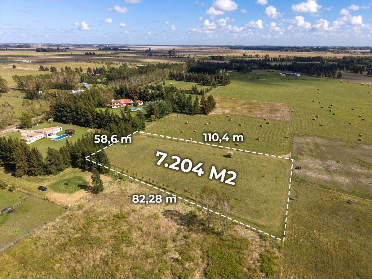 Foto de TERRENO EN VENTA BRANDSEN, imagen 3