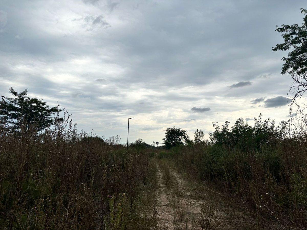 Foto de LOTE EN VENTA EN LA PLATA, ESTANCIA CHICA, imagen 4