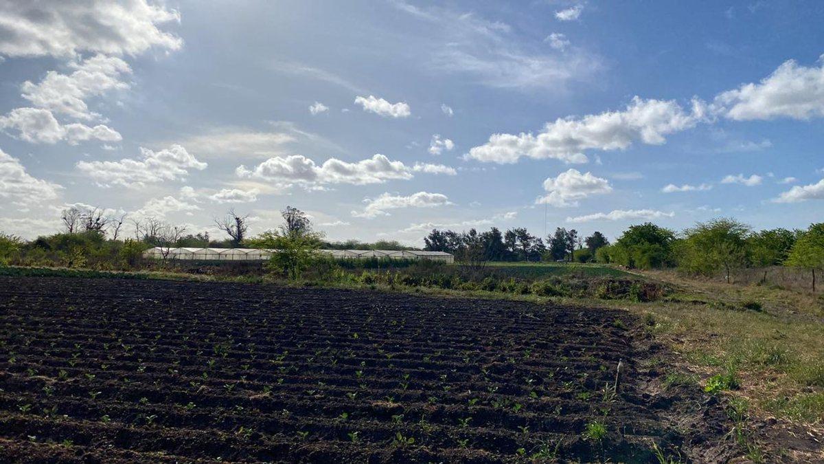 Foto de HECTAREAS EN VENTA LA PLATA OLMOS, imagen 5