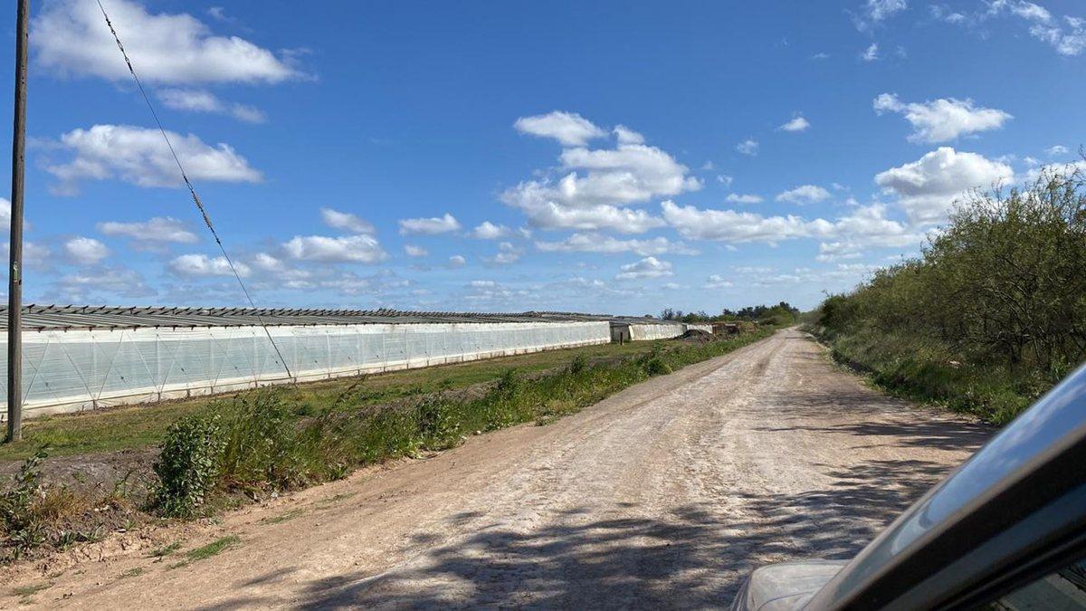 Foto de HECTAREAS EN VENTA LA PLATA OLMOS, imagen 3