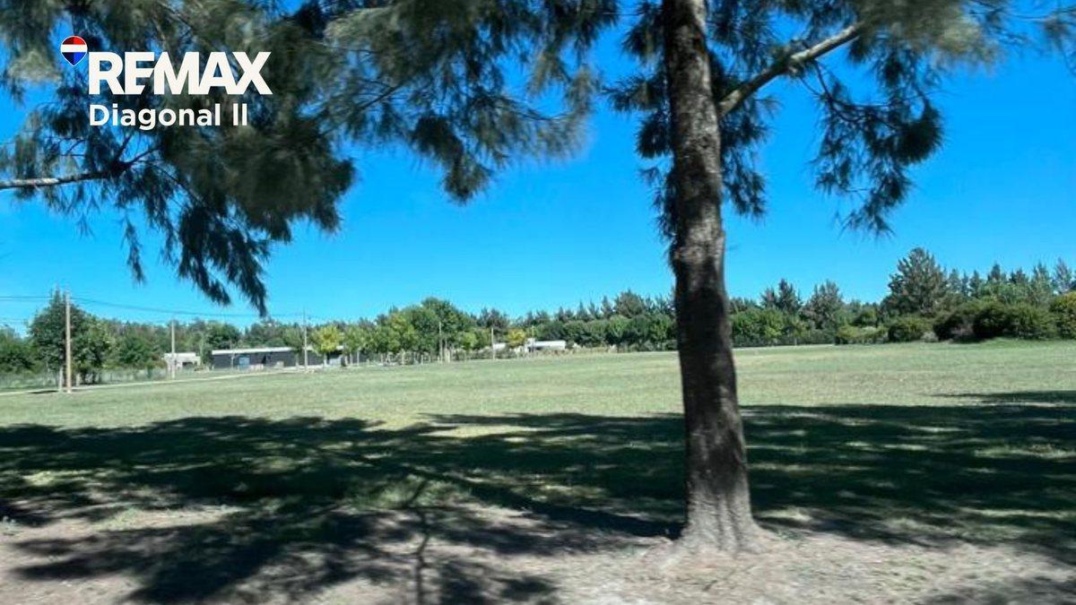 Foto de LOTE EN VENTA EN CAMPOS DE ROCA 2, imagen 4