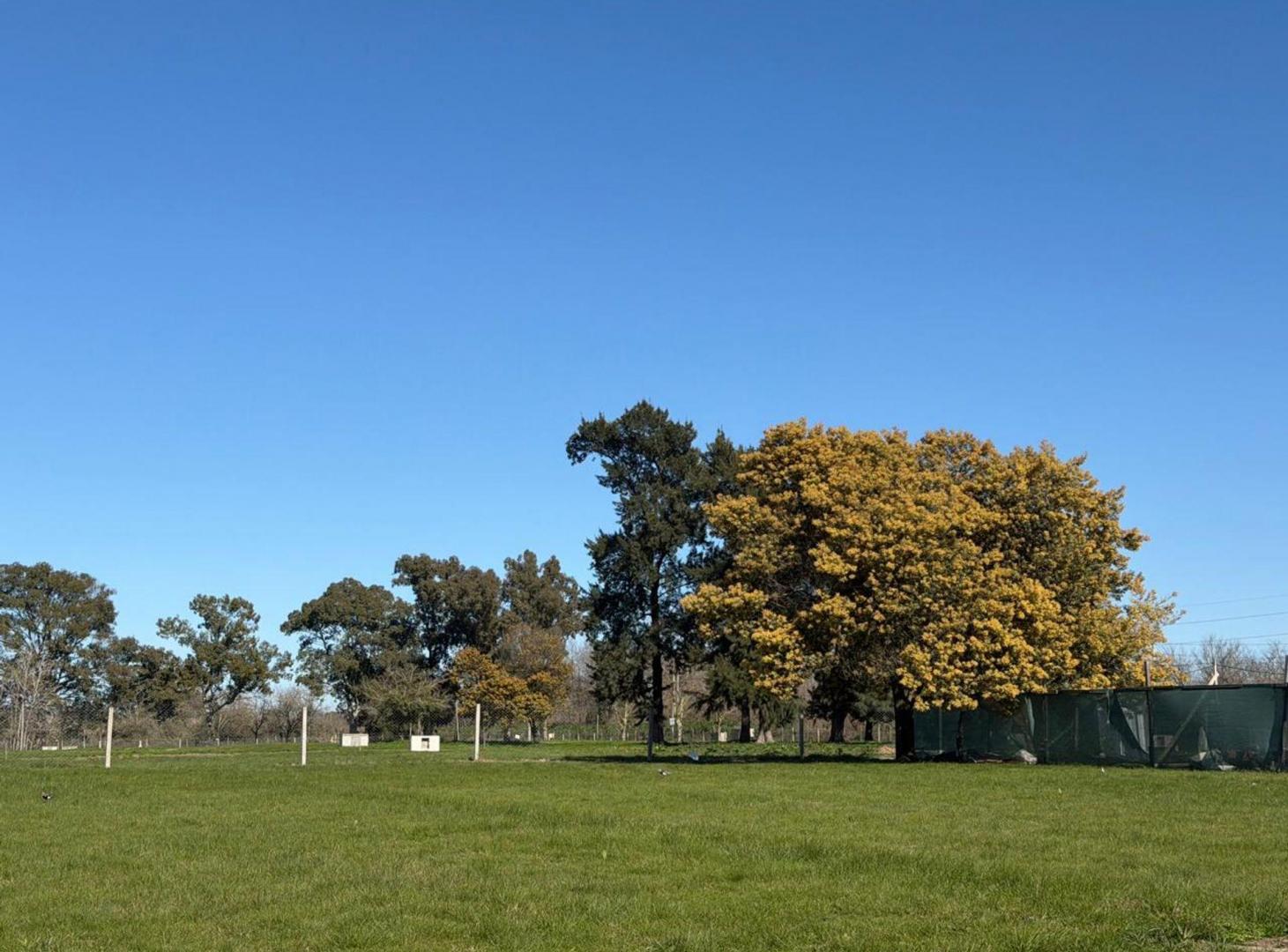 Foto de LOTE EN VENTA EN FINCAS DE DUGGAN, imagen 1