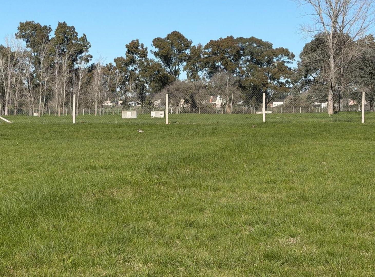 Foto de LOTE EN VENTA EN FINCAS DE DUGGAN, imagen 3