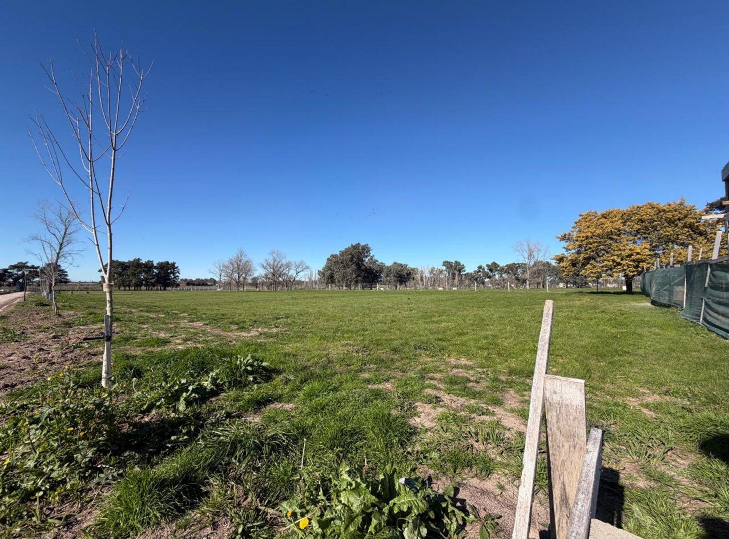 Foto de LOTE EN VENTA EN FINCAS DE DUGGAN, imagen 5