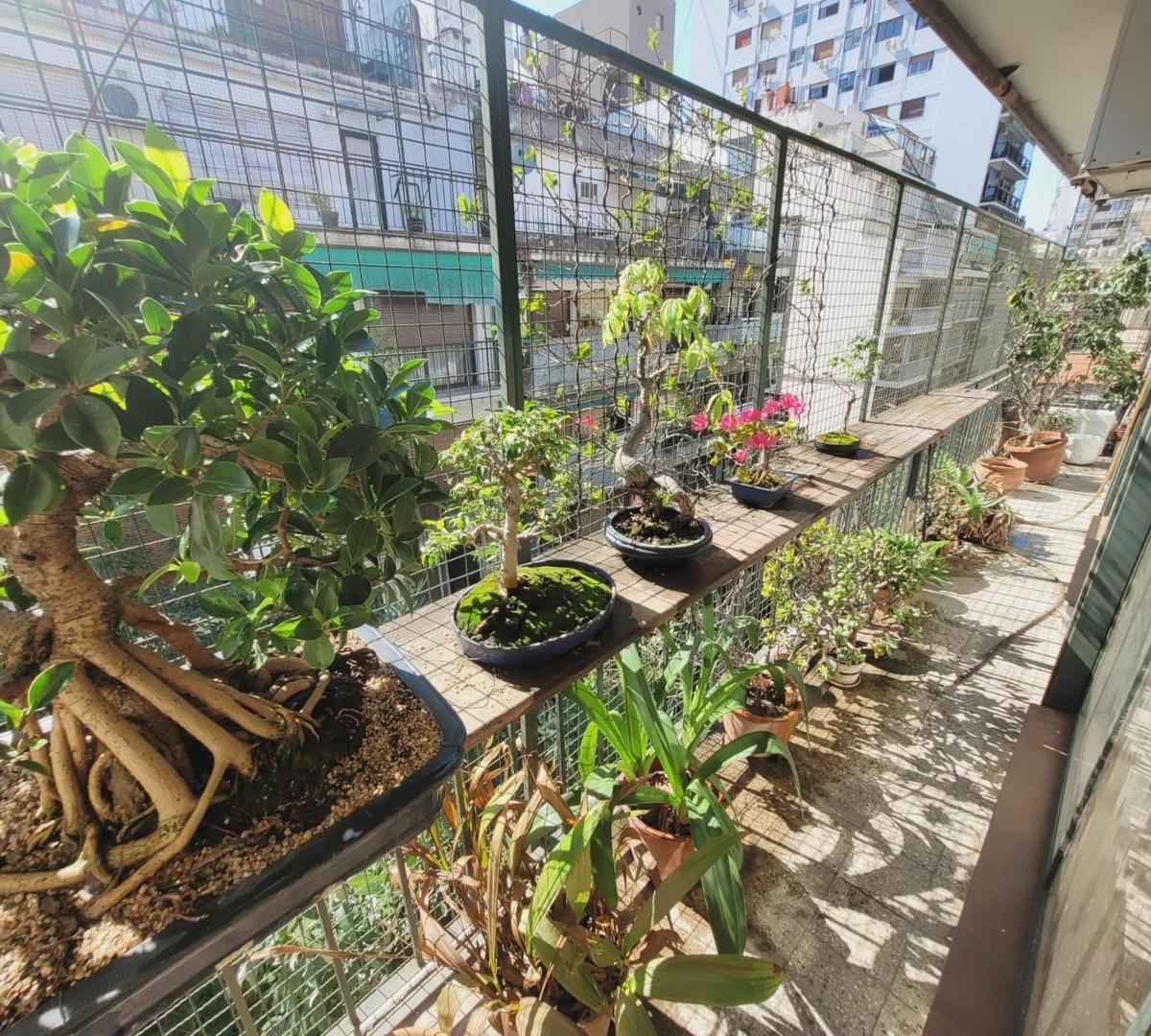 Venta Semipiso 4 Amb C/dep y Balcon Muy Luminoso - Caballito 5