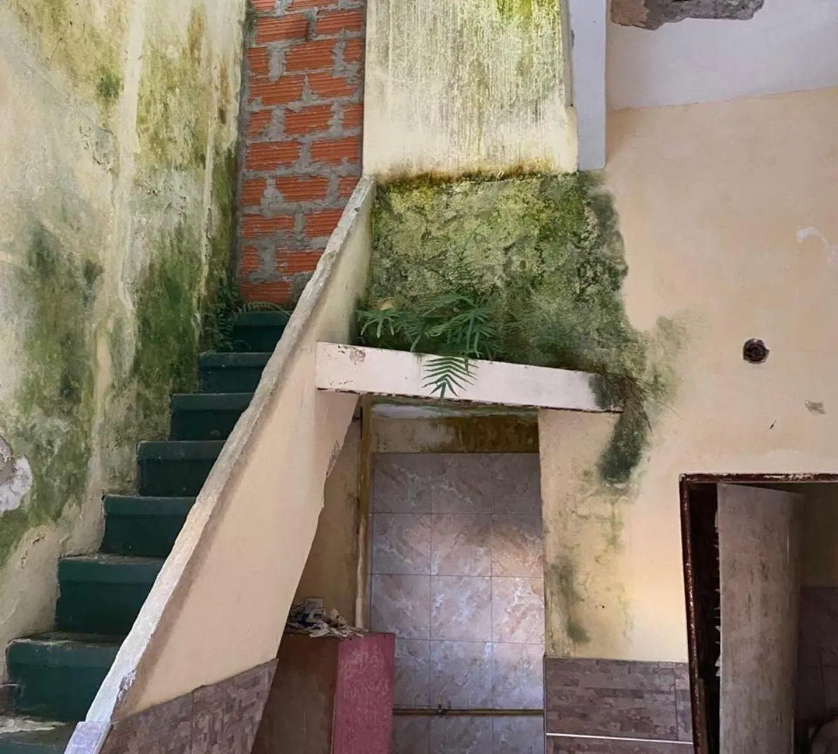PH a reciclar - Villa del Parque 3