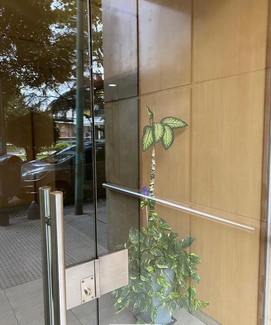 Departamento 3 ambientes con dependencia y balcon en Villa Devoto 4
