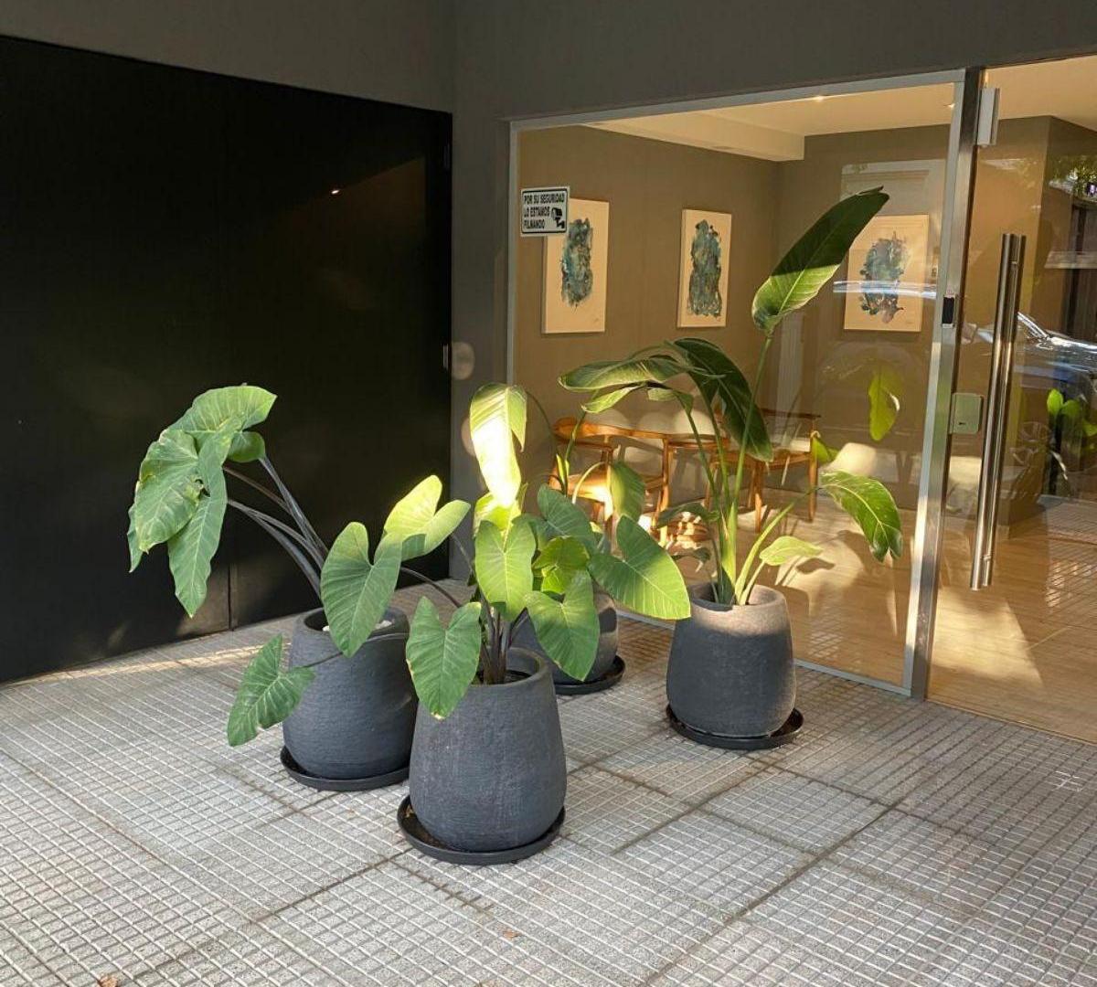 Foto de Departamento monoambiente con balcon en alquiler - Parque Chas, imagen 1