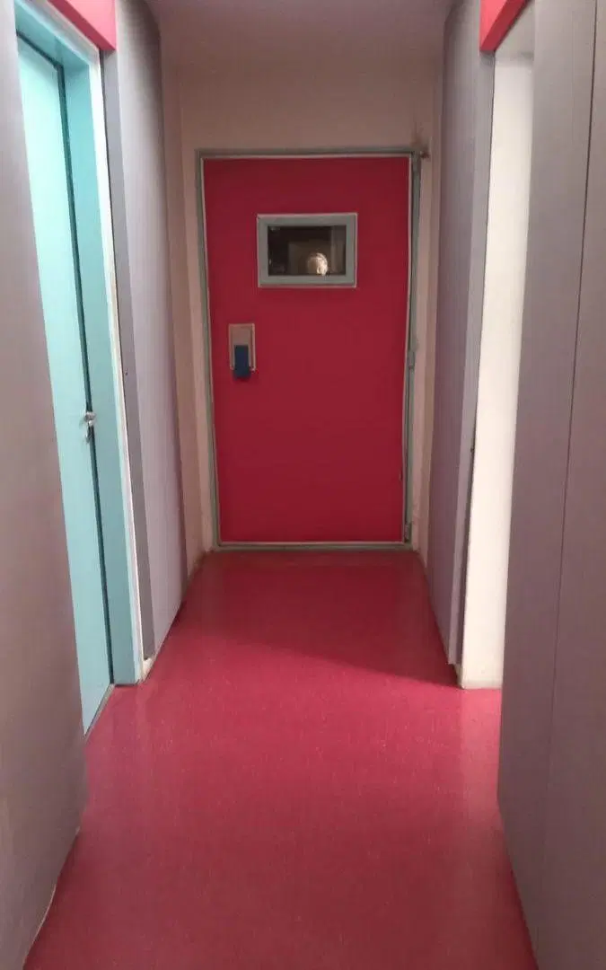 INMUEBLE PARA USO COMERCIAL CON 7 ESPACIO Y GRAN TINGLADO AL FONDO – 2 BAÑOS – BUEN ESTADO 4
