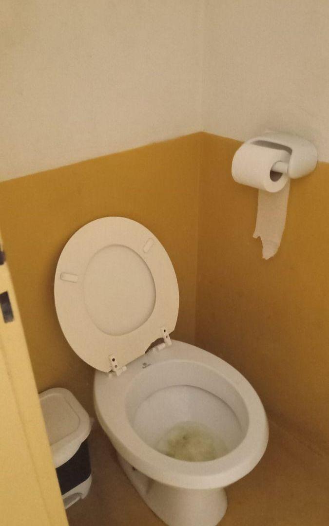 Foto de INMUEBLE PARA USO COMERCIAL CON 7 ESPACIO Y GRAN TINGLADO AL FONDO – 2, imagen 4